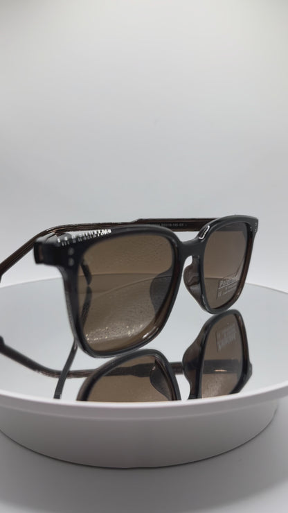 TUTONE Standard Dark Brown SUNGLASSES